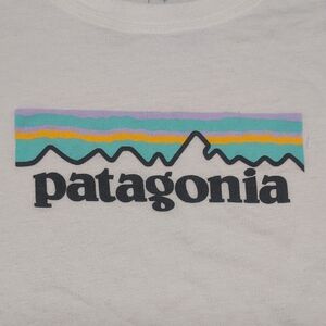 Patagonia Pastel P-6 Logo Organic Crew Shirt